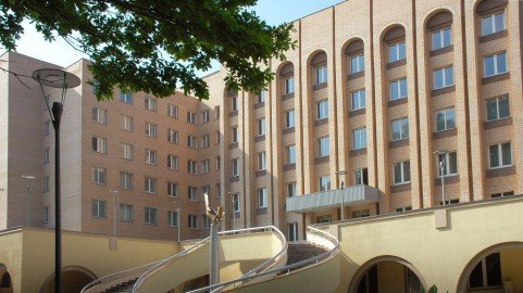 Тим хаг скончался в больнице после нокаута