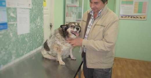 Записаться на прием к врачу через интернет больница калинина
