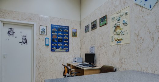 Больница лор для взрослых в москве