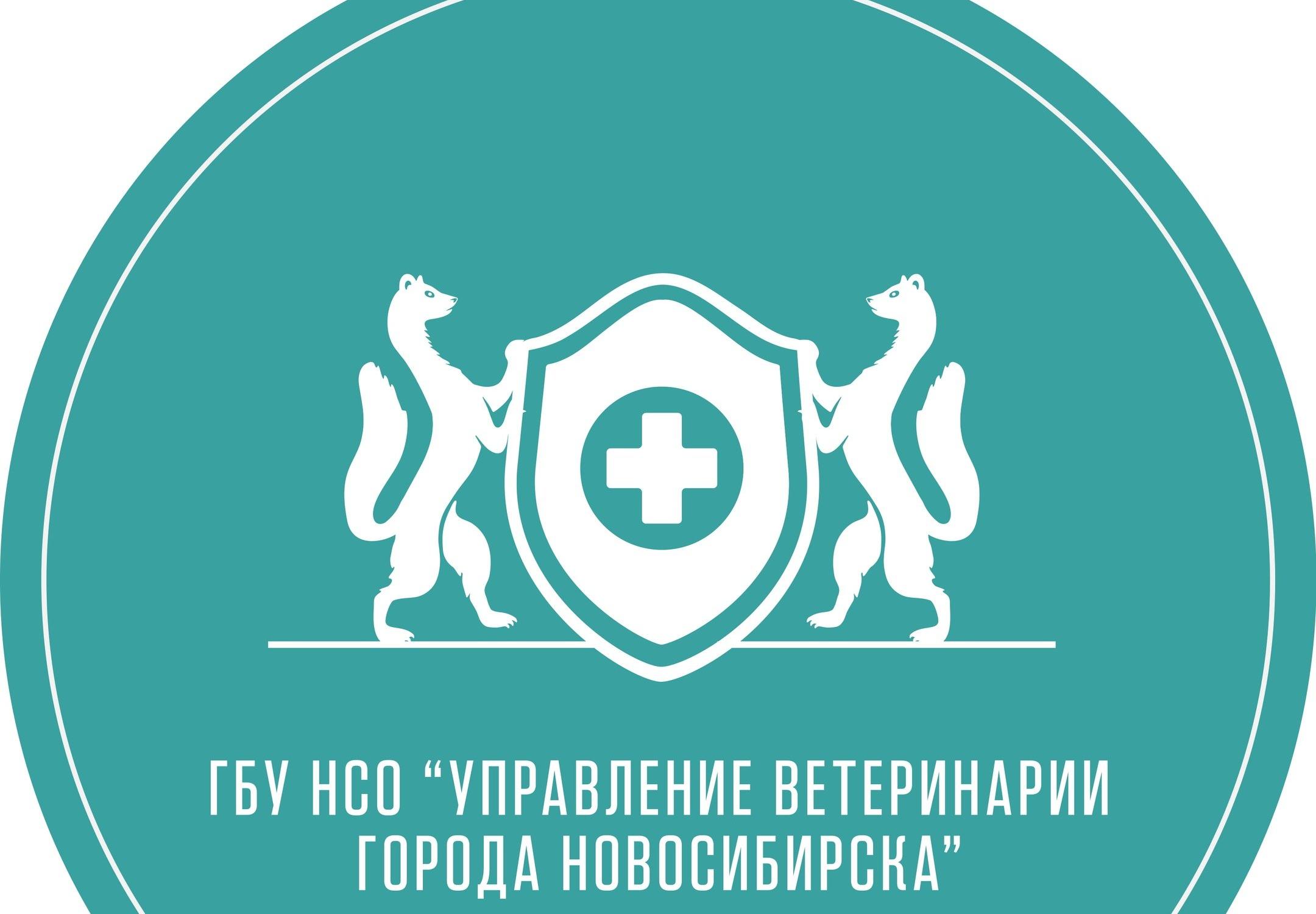 Ветеринарная Аптека В Новосибирске Б Хмельницкого 28