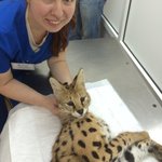 Гинеколог малиновская омск Гинеколог малиновская омск