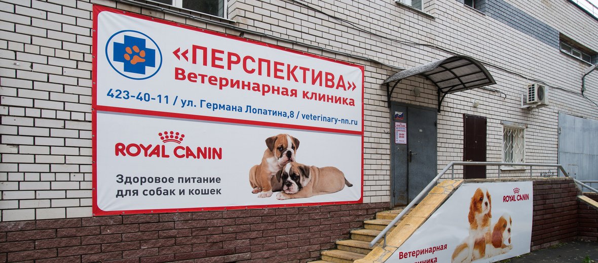 Ветеринарная Аптека Центральный Район Спб