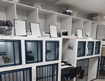Самозапись в 60 поликлинику в славянке