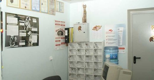 Записаться в детскую поликлинику 3 чита