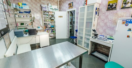 Ветеринарные клиники в туле на галкина
