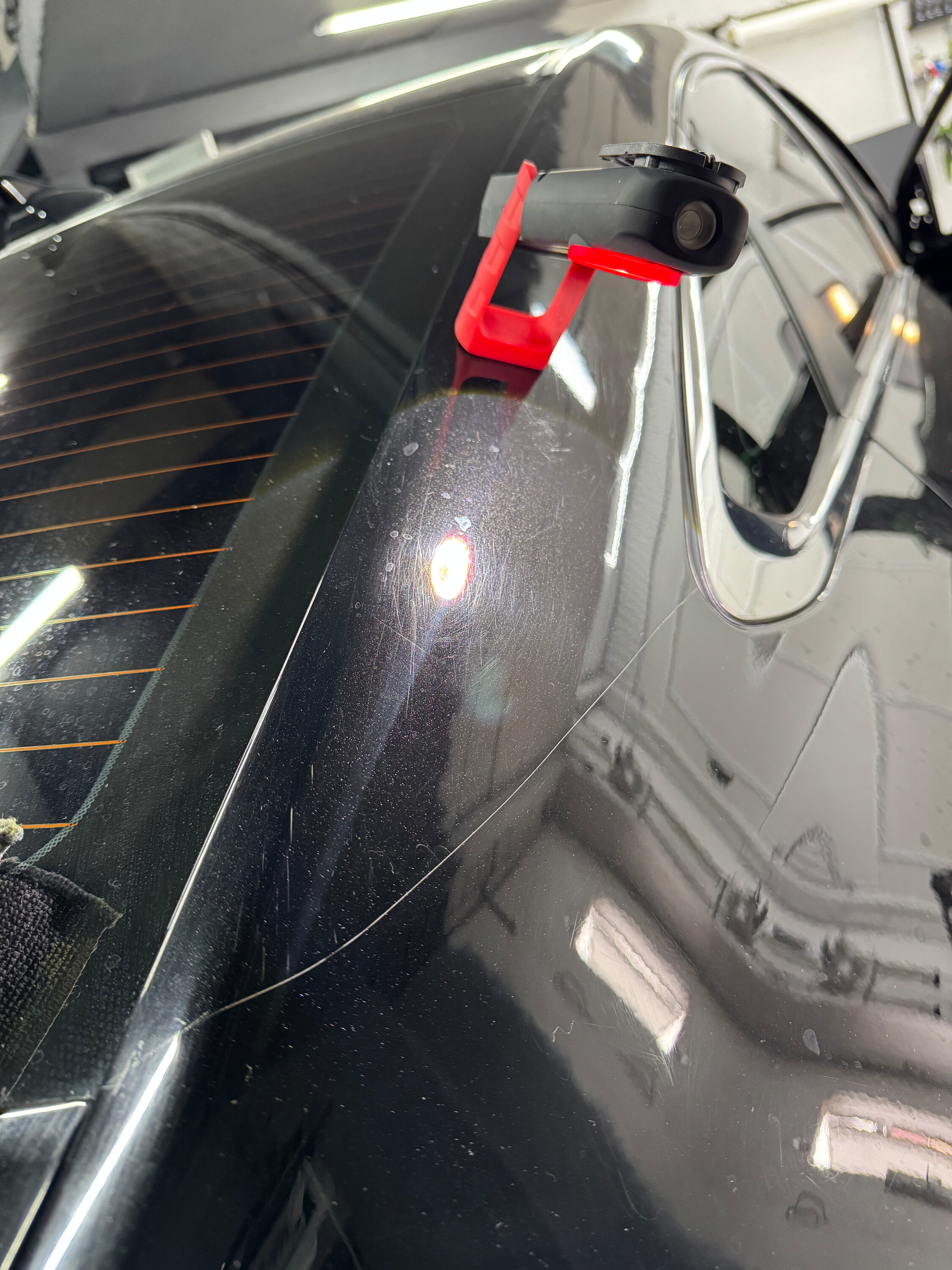 Диана Шубина