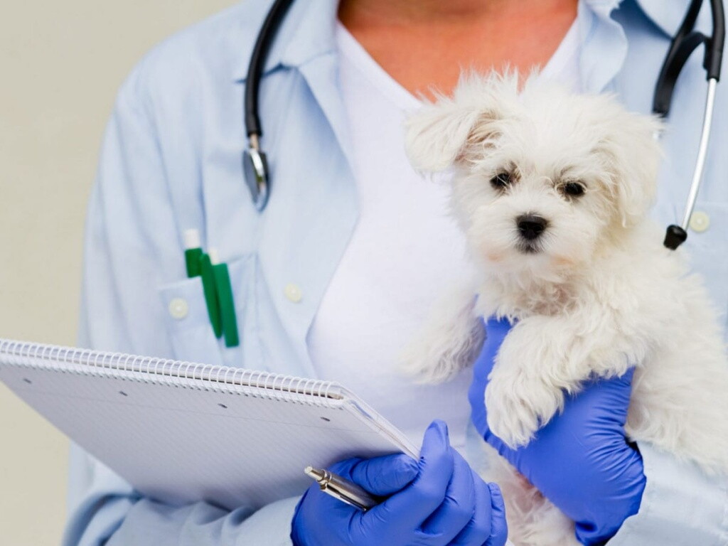 Лидия Михайловна Кулакова