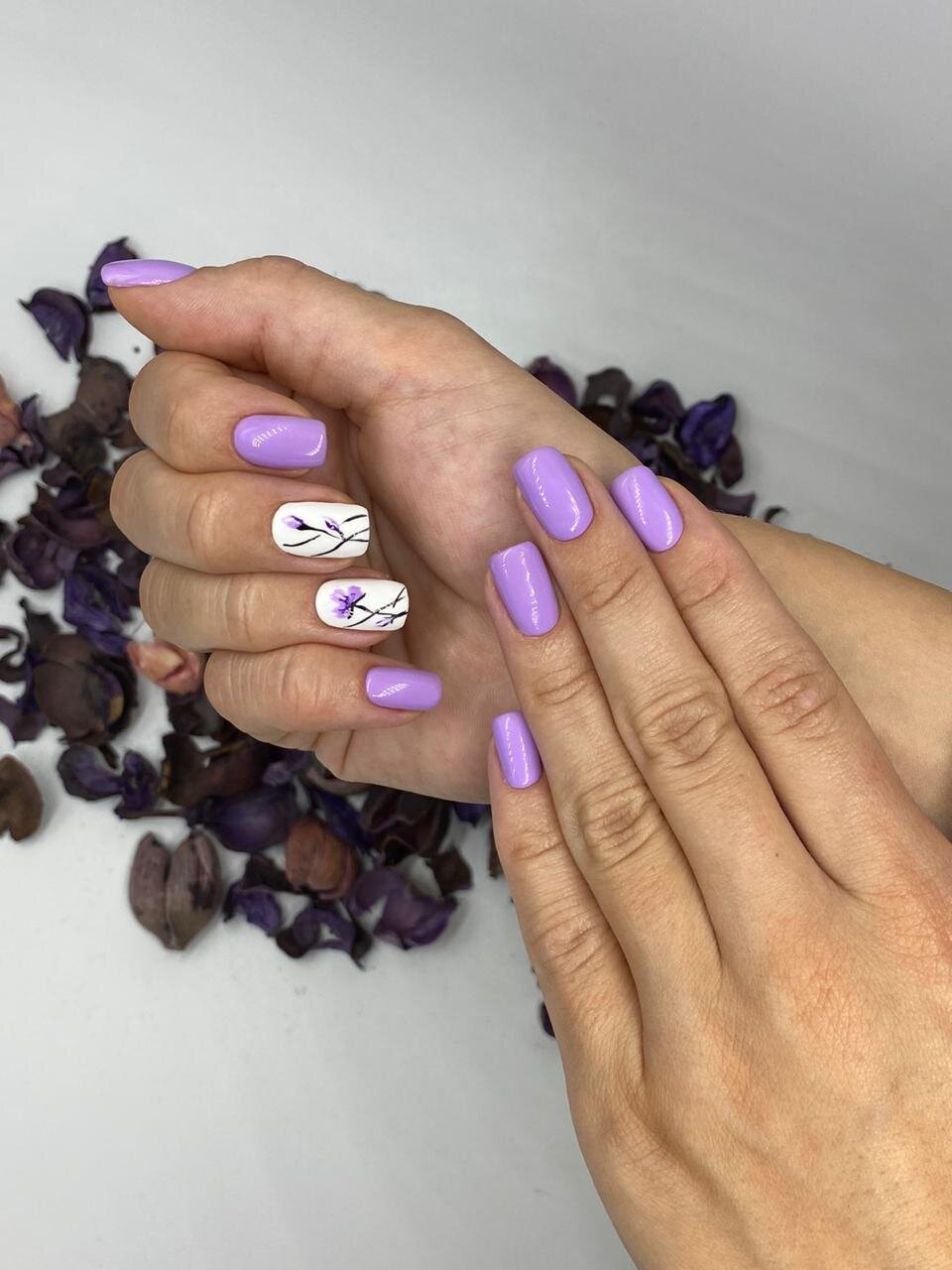 Нина Амбарцумян