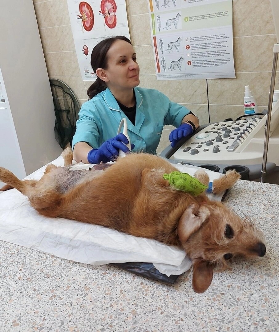 Екатерина Александровна Васильевна