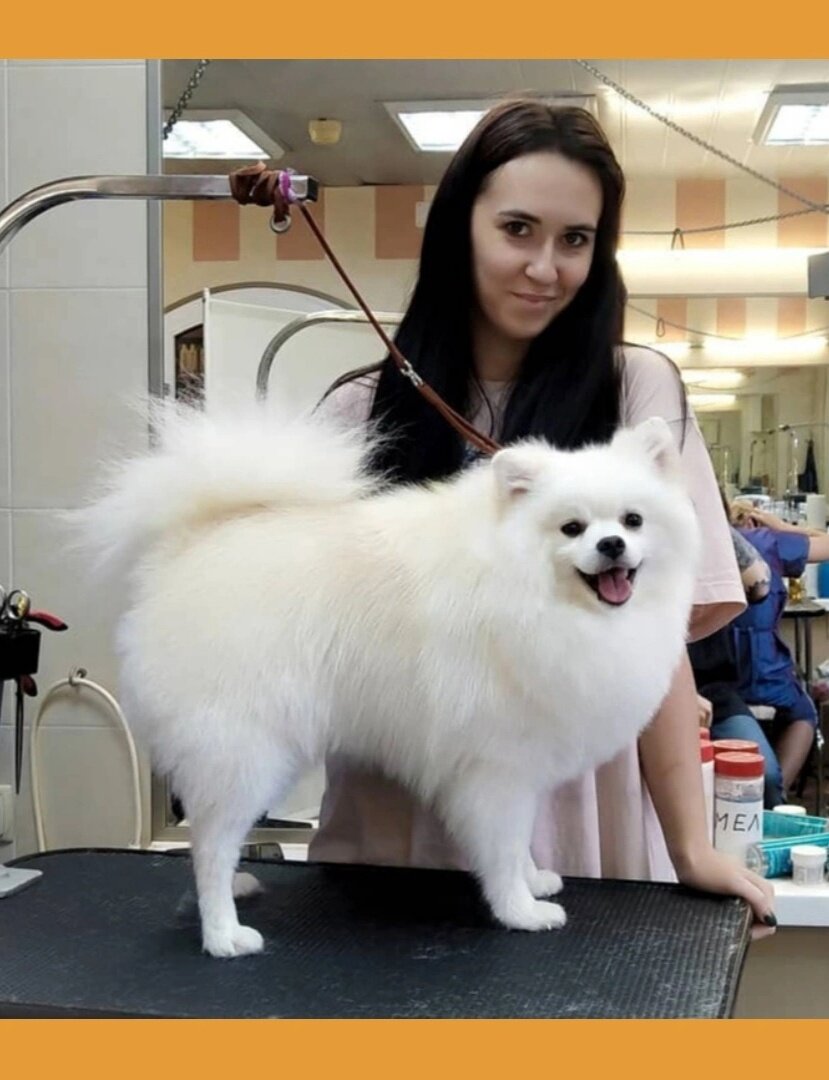 Виктория Кушнир