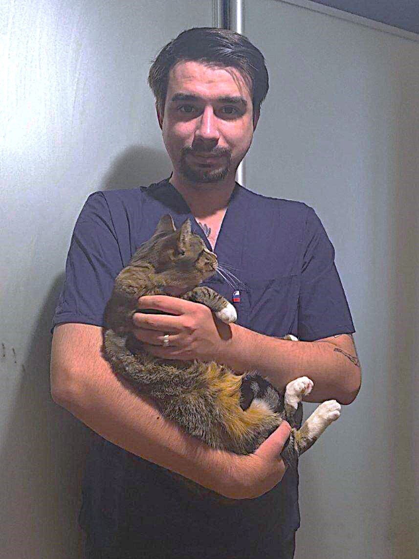 Илья Анатольевич Комольцев