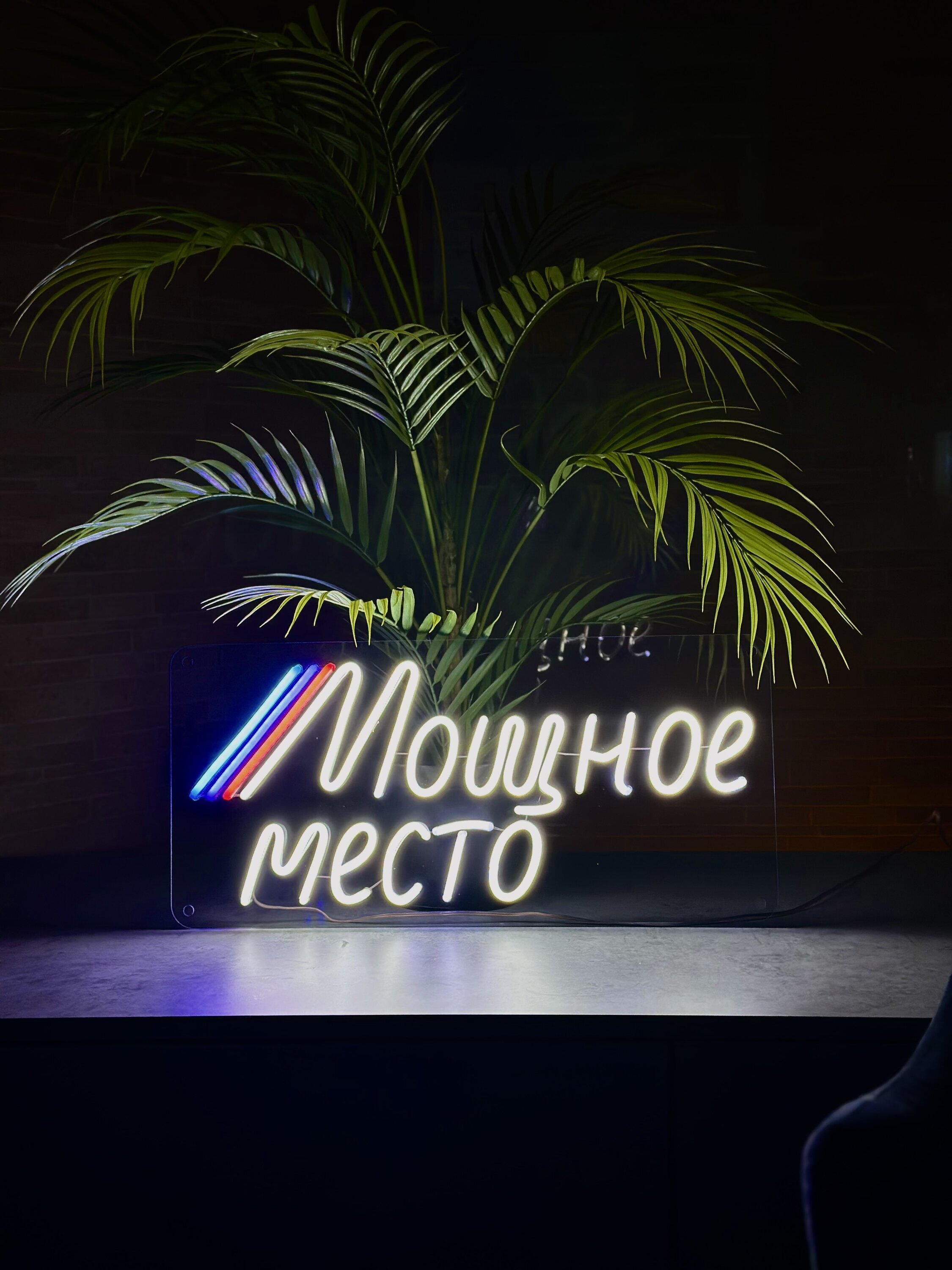 Егор Романович Степанов