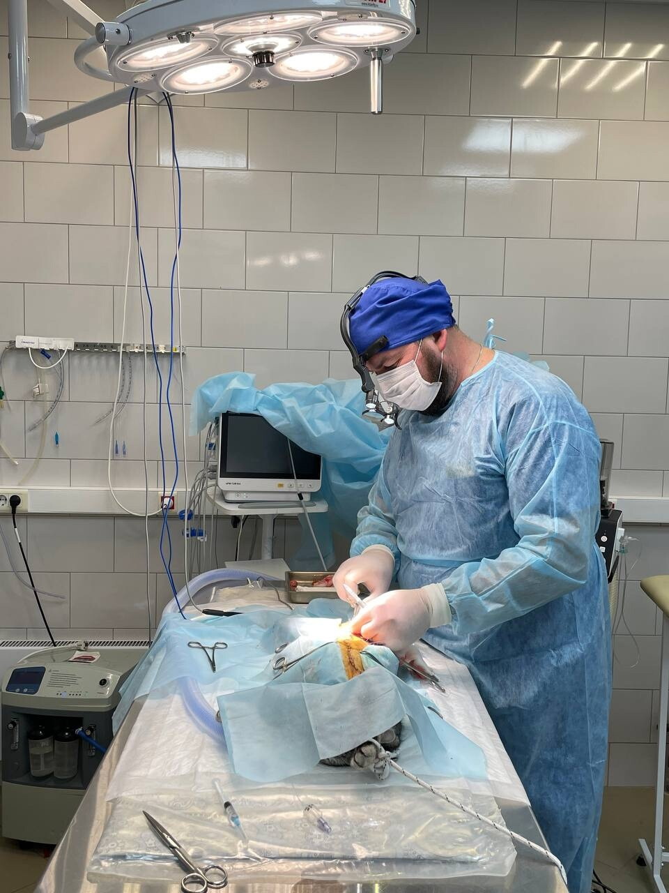 Евгений Викторович Исаев