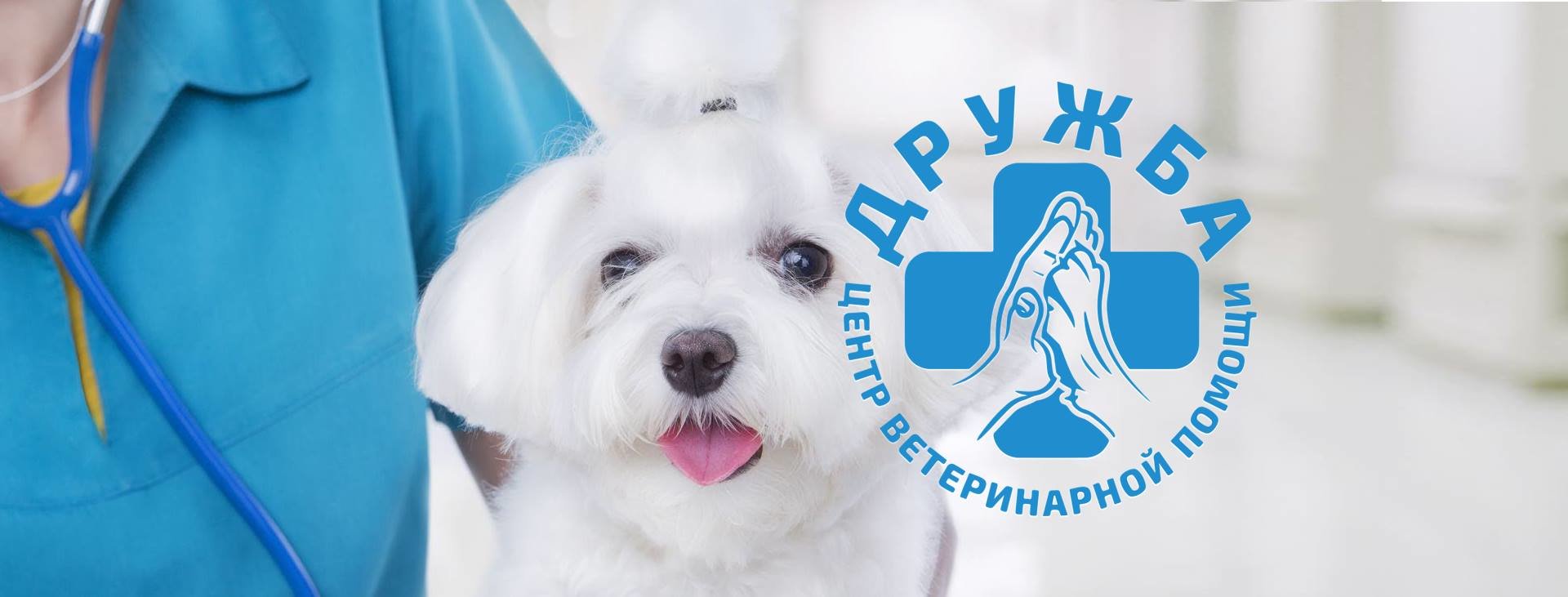 Ветклиника дружба королев. Адрес ветеринарной клиники москва. Логотип ветцентра. Ветклиника дружба королев. Горького 79 к 4 королев.