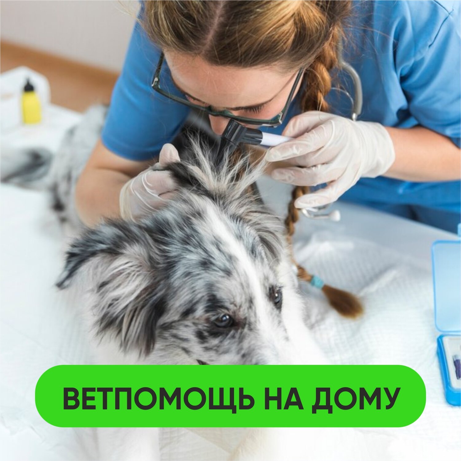 Алена Гриньке