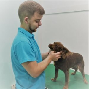 астахов тюмень ветеринар. ветврач тюмень.