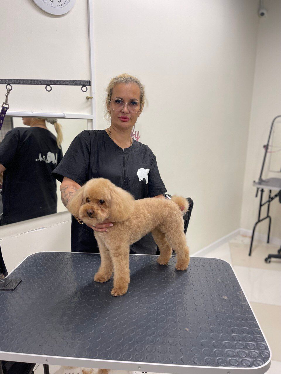 Елена Перевезенцева