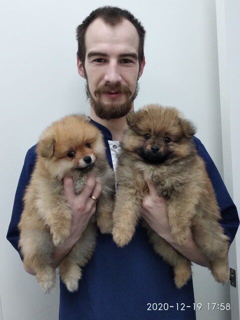 Федор Дмитриевич Белов