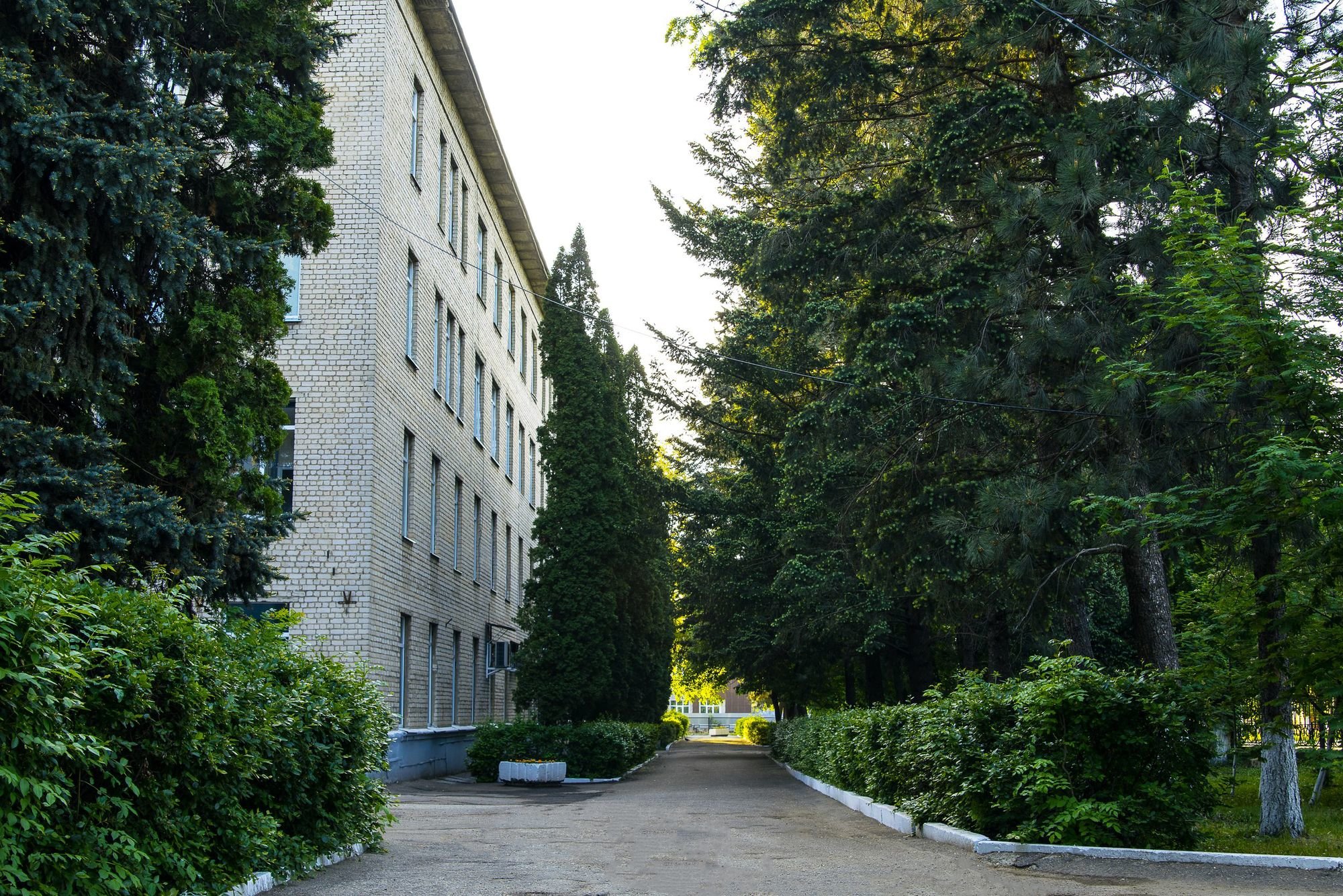 Лечение хронического бронхита в Липецке рядом со мной на карте, цены - Пройти лечение хронического бронхита: 38 медицинских центров с адресами, отзывами и рейтингом - Zoon.ru