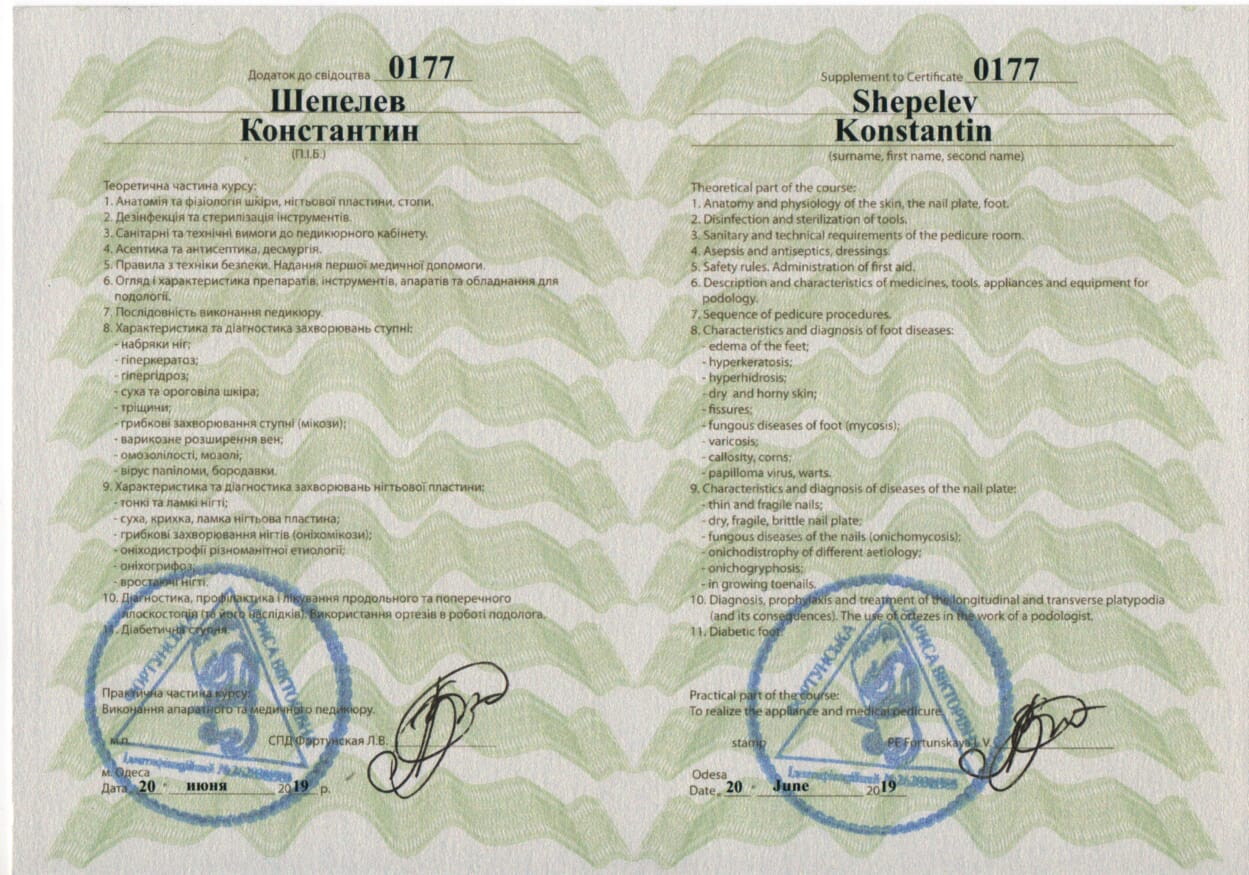 Константин Евгеньевич Шепелев