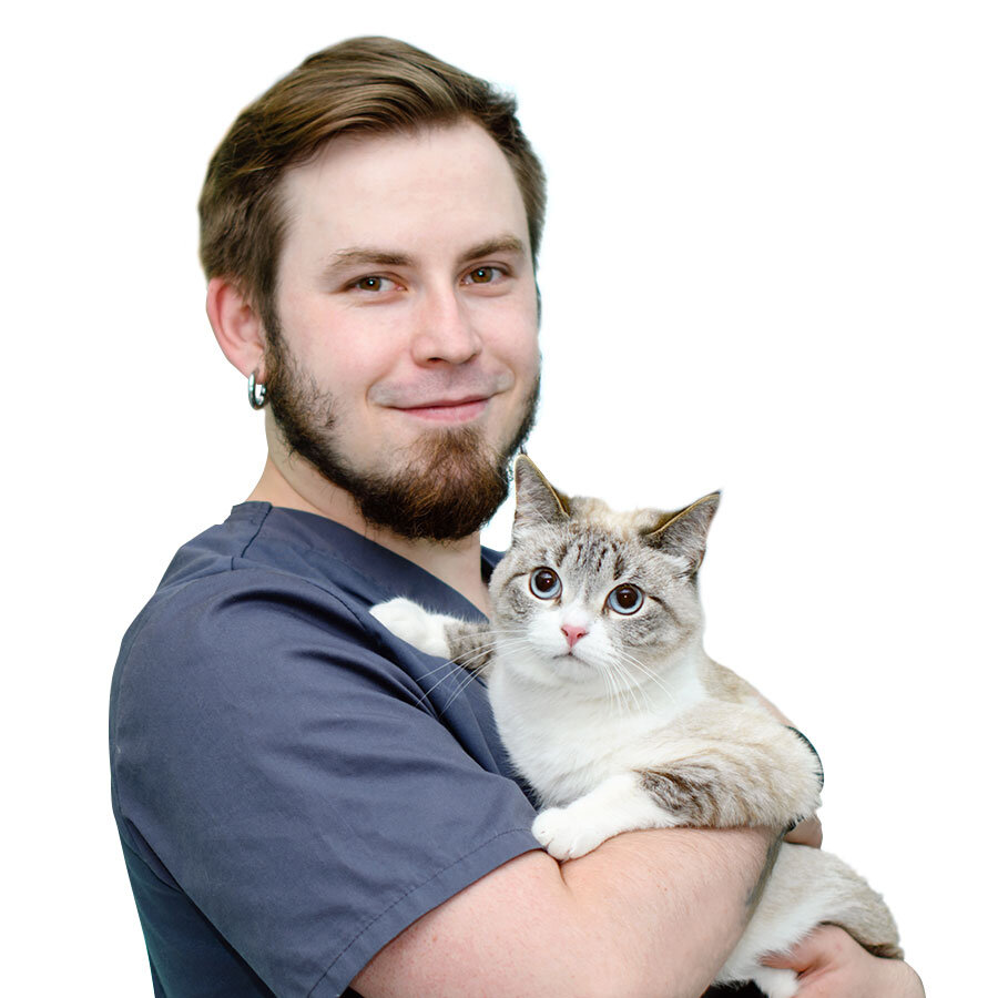 Крапивкин роман борисович ветеринарный врач. Ветеринар хирург москва. Бондарь богдан борисович. Ветеринар хирург москва. Ветеринар.