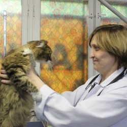 Евгения Константиновна Никитина