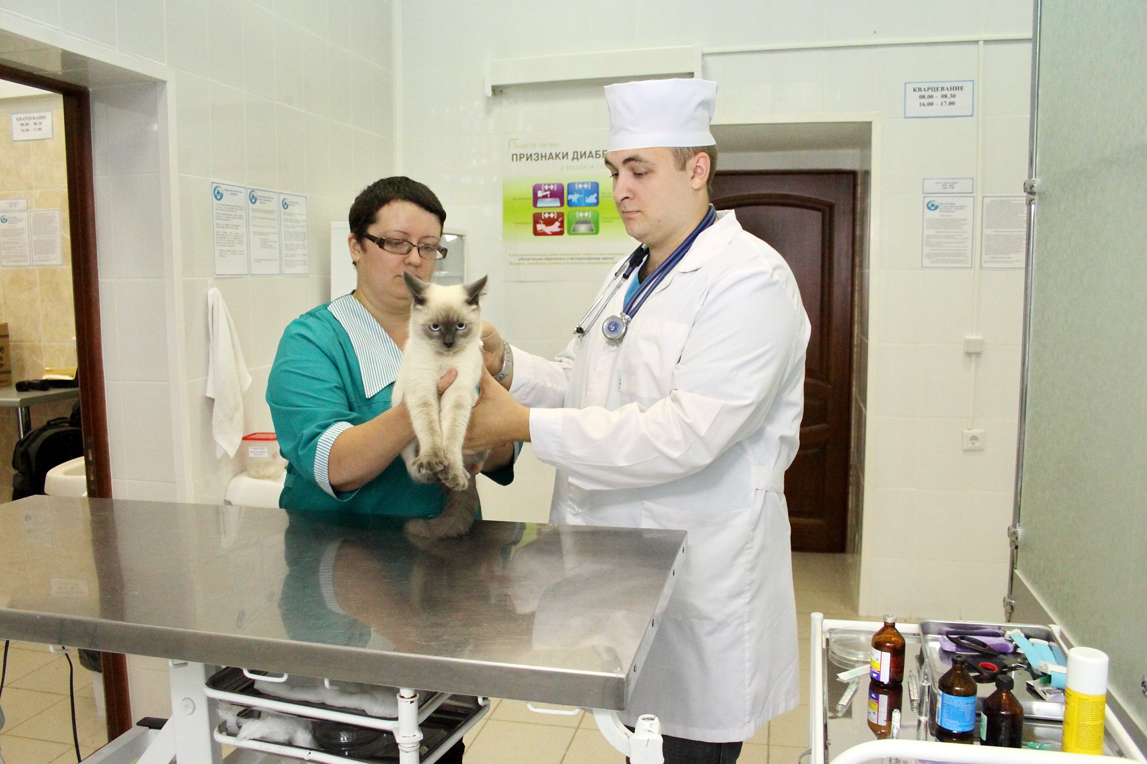 Работники ветеринарной клиники