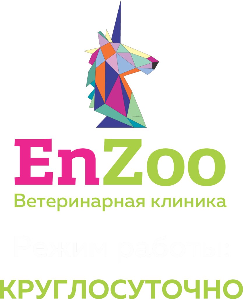 Консультация ветеринара в Махачкале: 23 ветеринарных клиники, адреса,  телефоны, отзывы и фото – Zoon.ru