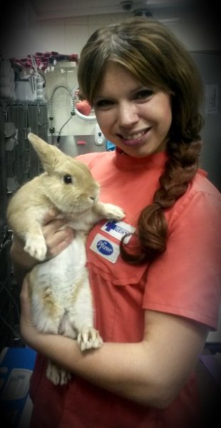 Лиясова Ольга Николаевна – ветеринар, ветеринарный врач-дерматолог ...