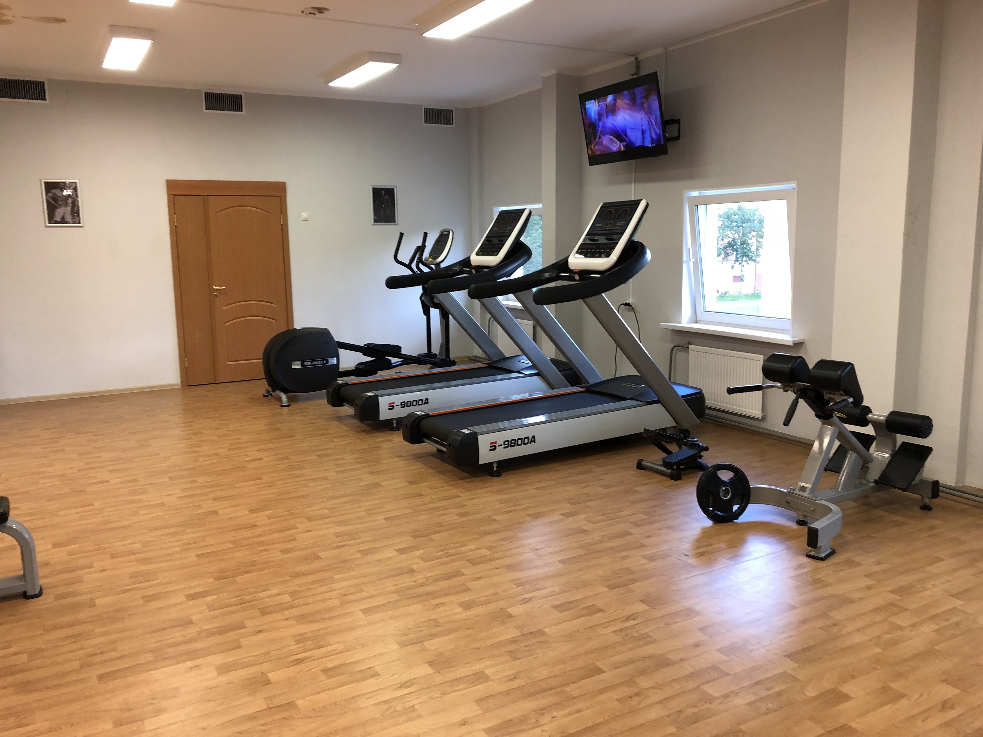 спортивный сестрорецк