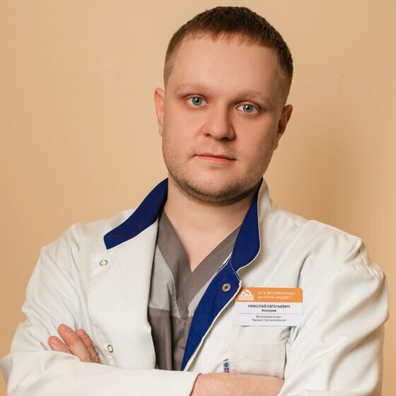 Комаров Николай Евгеньевич – ветеринар, ветеринарный гастроэнтеролог ...