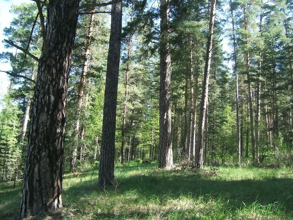 Учреждения на улице Галактионова рядом со мной на карте – рейтинг, цены,  фото, телефоны, адреса, отзывы – Бузулук – Zoon.ru