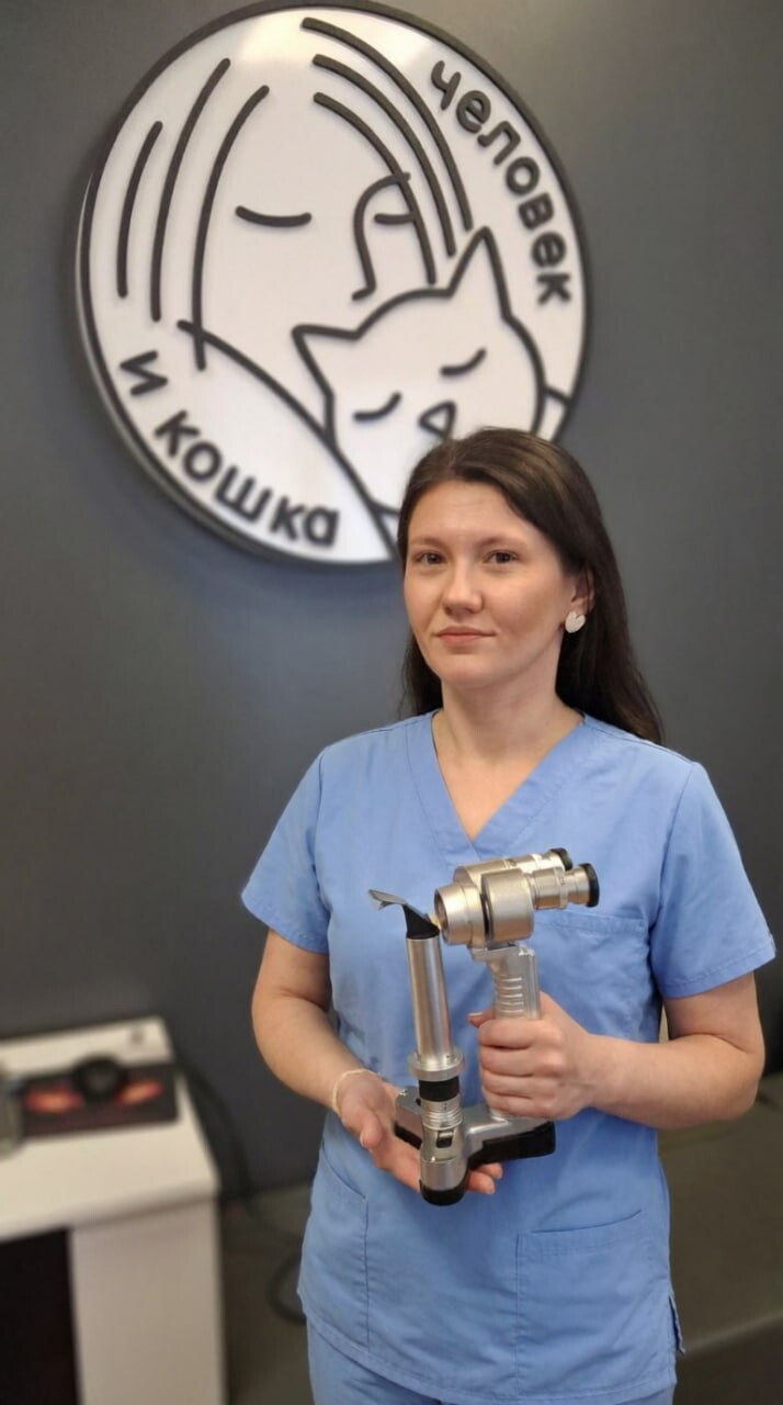 Анастасия Евгеньевна Лаптева