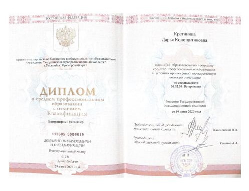 Дарья Константиновна Кретинина