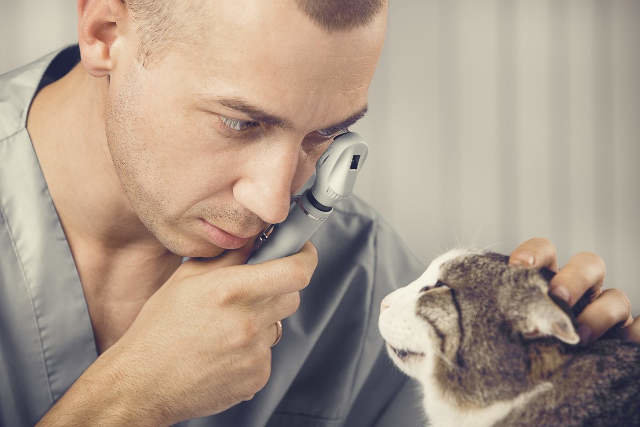 Валерий Викторович Берченко