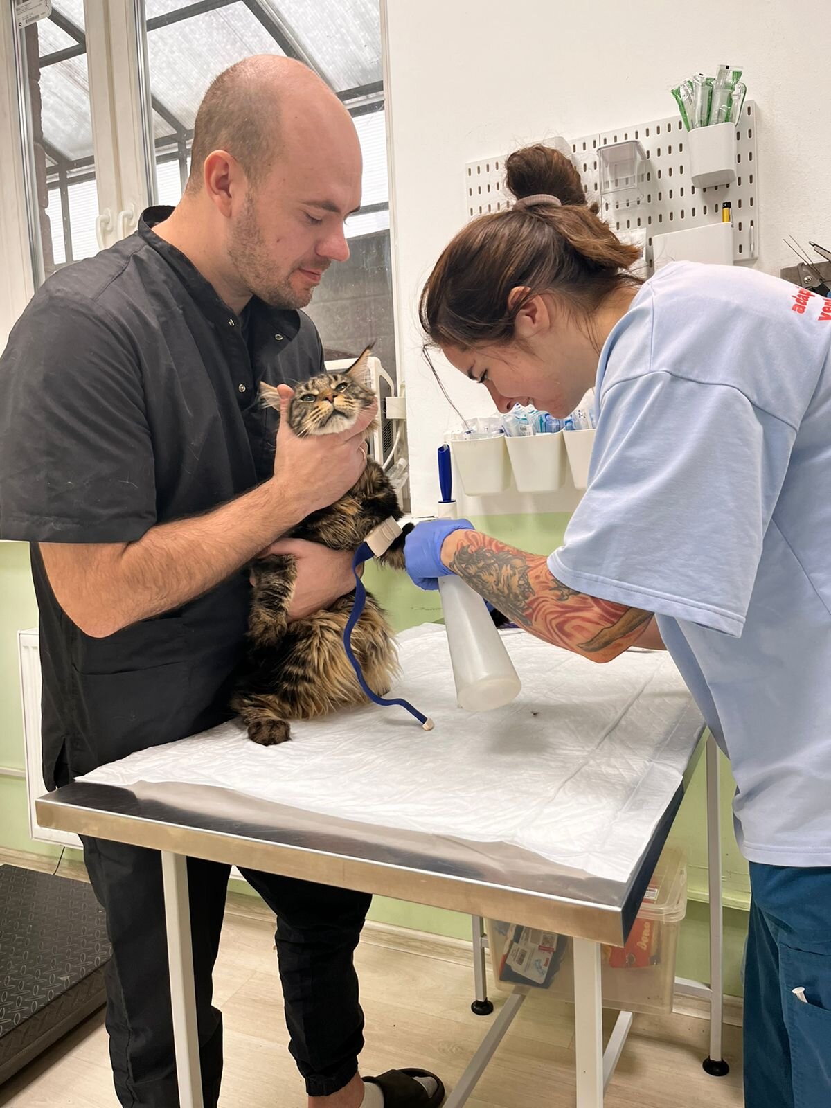 Милана Вадимовна Рогачева