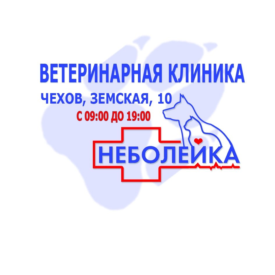 ветклиника чехов телефон (81) фото