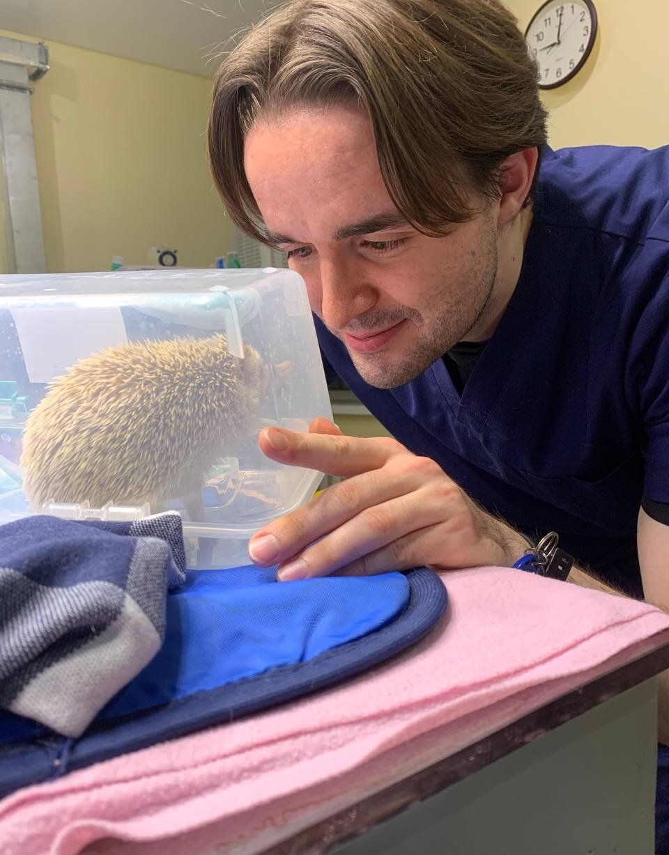 Илья Валерьевич Егоров