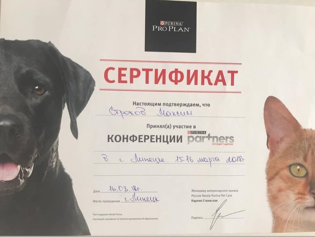 Максим Андреевич Строков