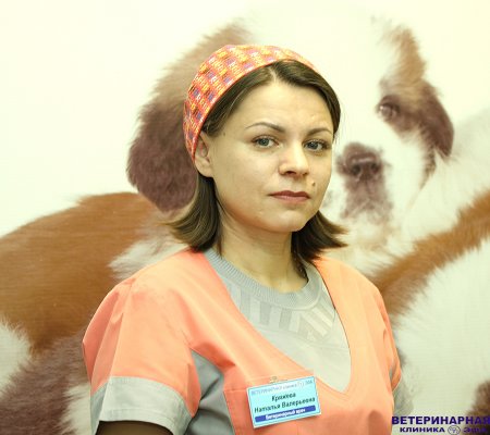 ветеринарная клиника расплетина.