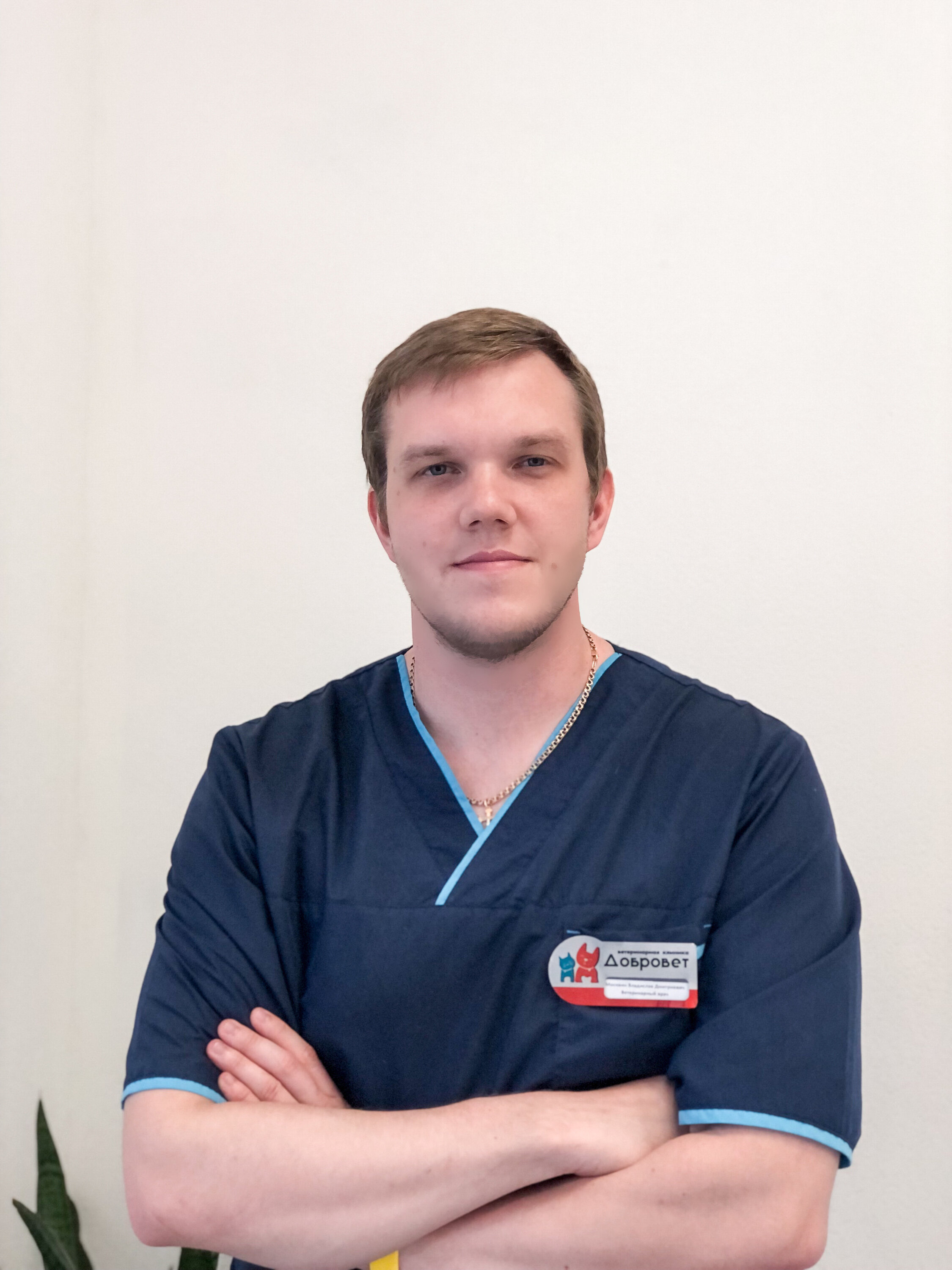 Владислав Дмитриевич Москвин