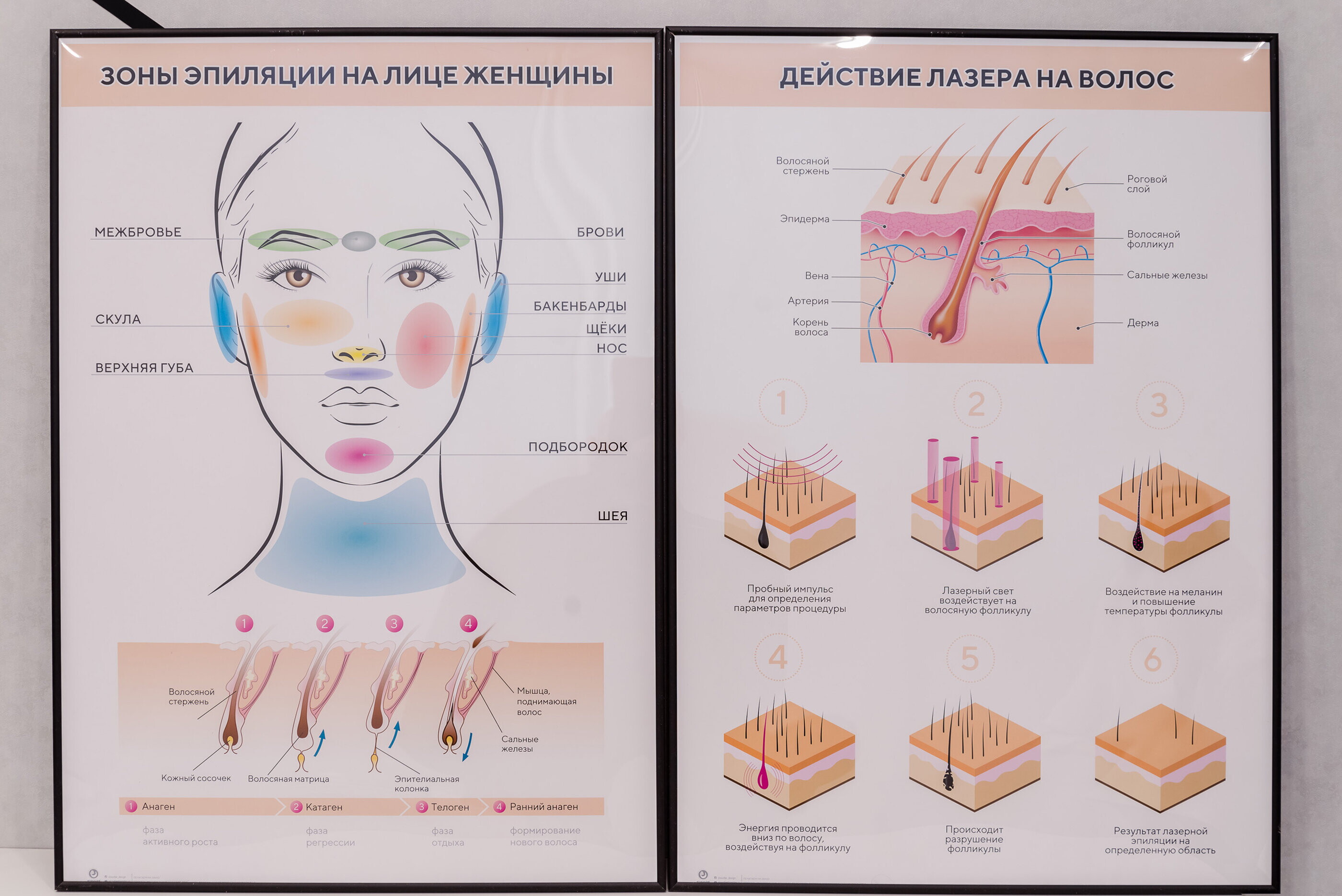 Карина Федосова