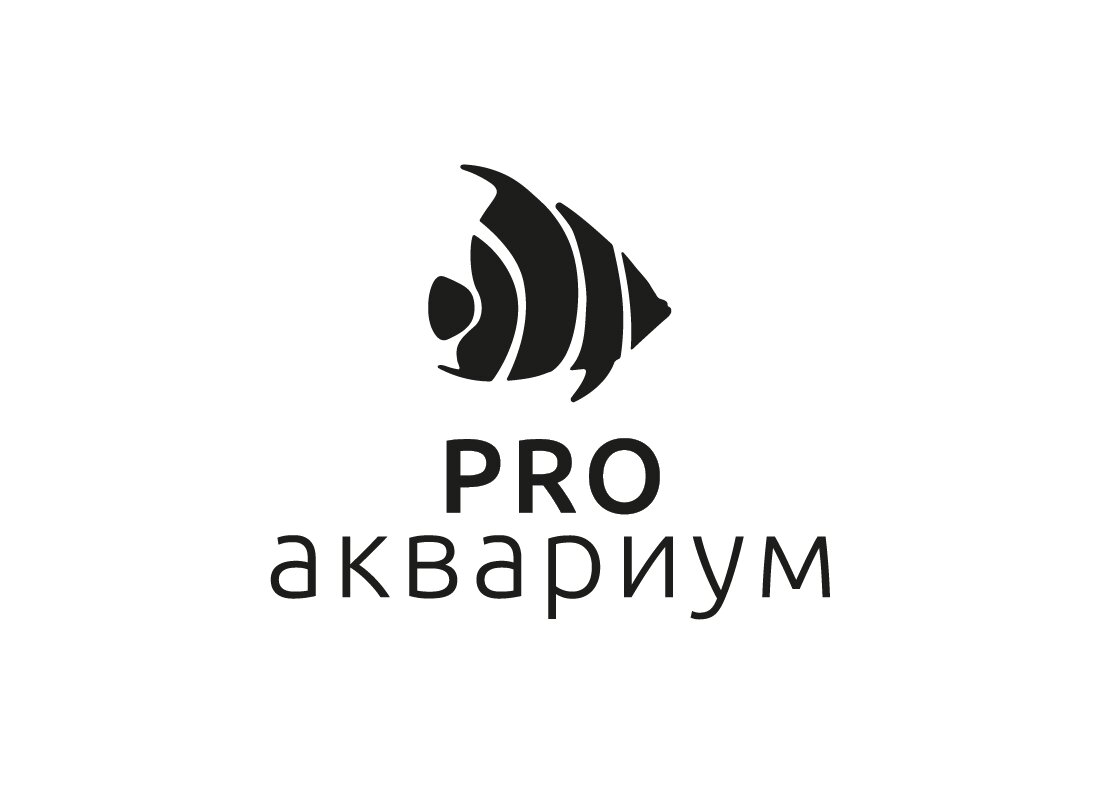 Зоо Интернет Магазин Сочи