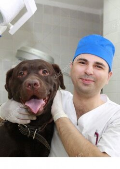 Владимир Арсенович Индароков