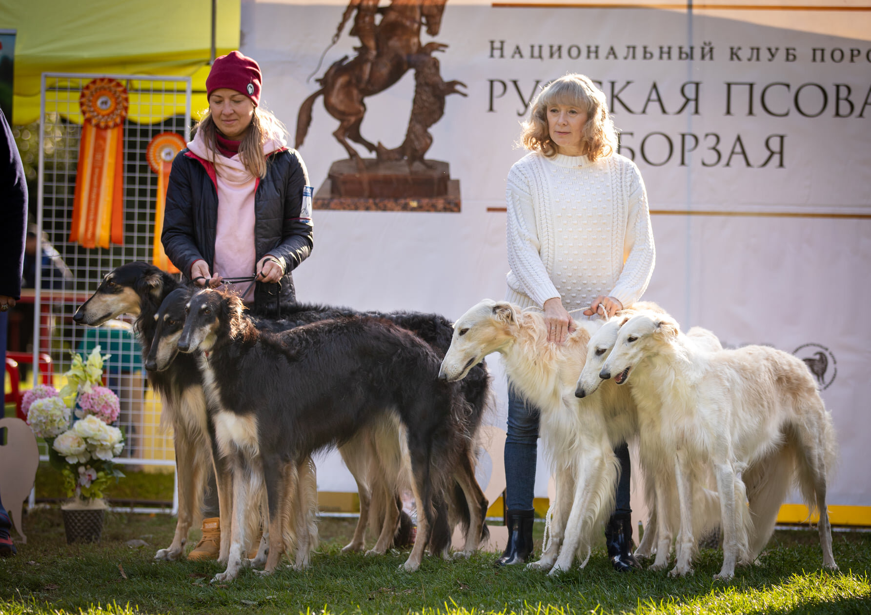 Питомники собак в Твери, 3 ветеринарных клиники, отзывы, фото, рейтинг  собачьих питомников – Zoon.ru