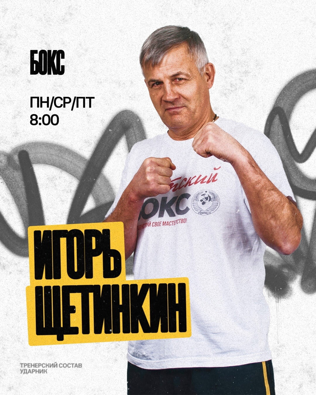 Игорь Щетинкин