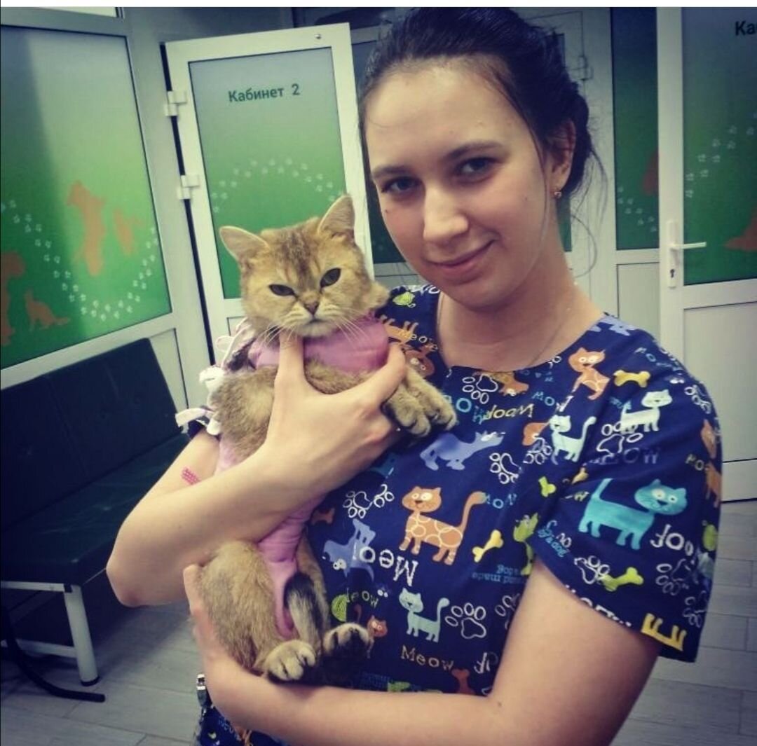 Алина Георгиевна Ситникова