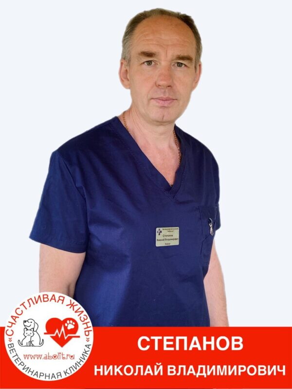 Николай Владимирович Степанов