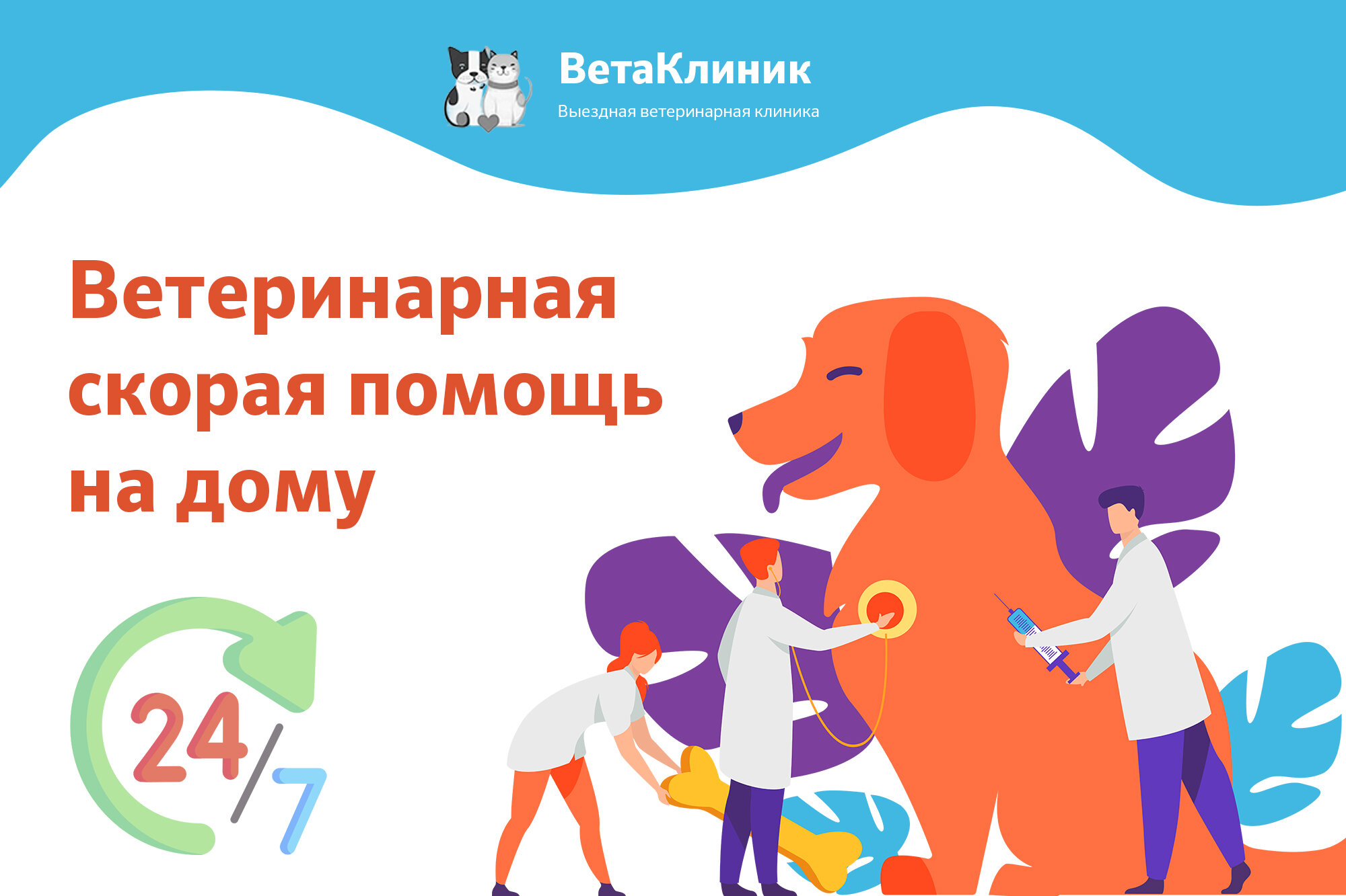 Вызов врача-ветеринара на дом в Москве – Ветеринар на дом: больше 1000  ветеринарных клиник, 1763 отзыва, фото – Zoon.ru