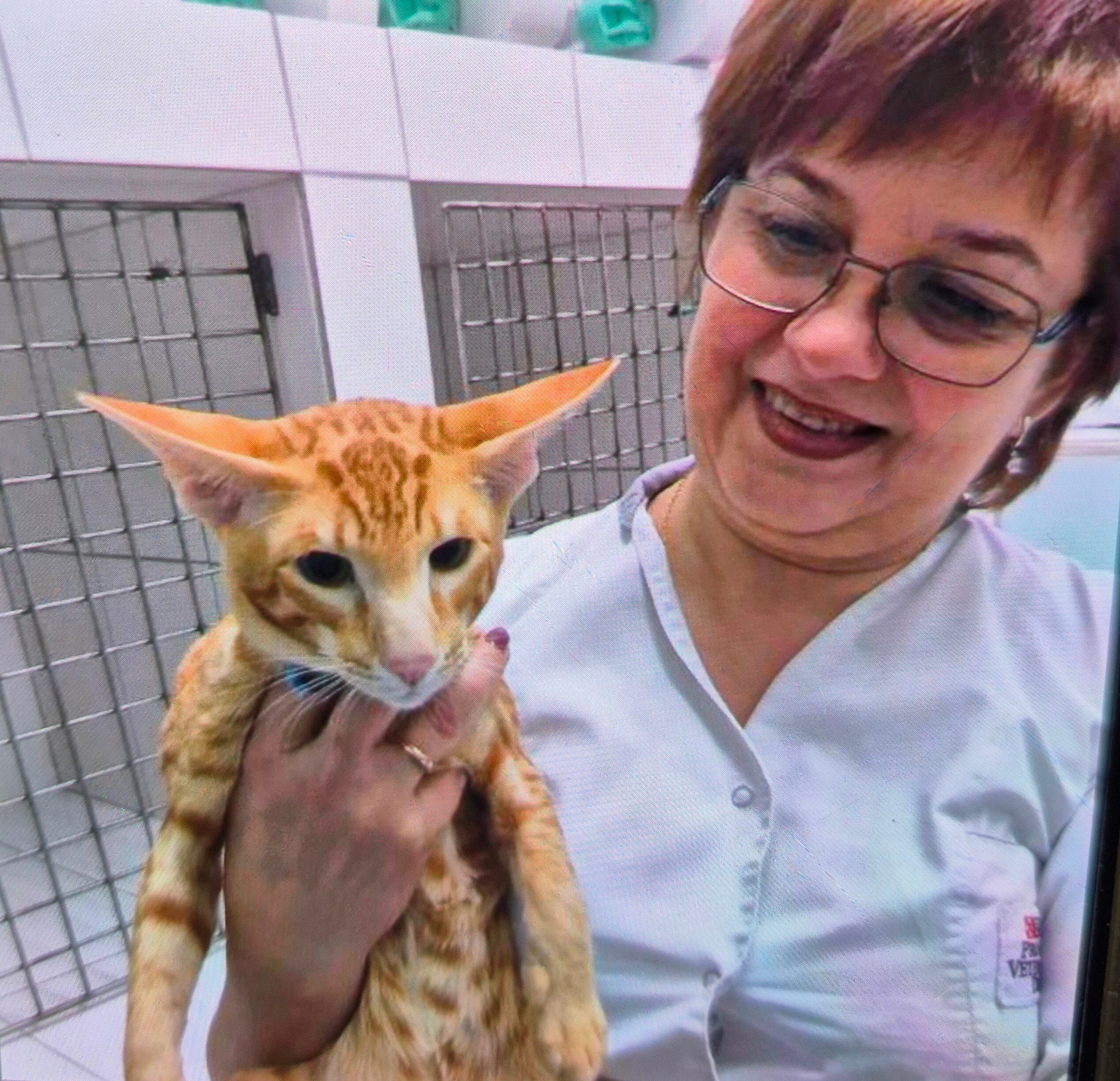 Ольга Викторовна Абрамова